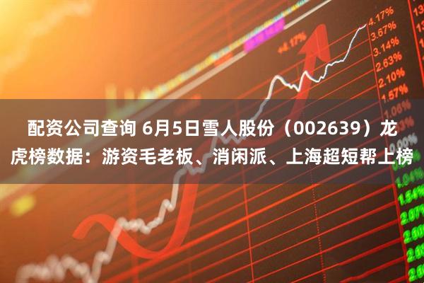 配资公司查询 6月5日雪人股份（002639）龙虎榜数据：游资毛老板、消闲派、上海超短帮上榜